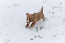 IMG_1172.jpg