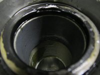 IMG_2565.jpg