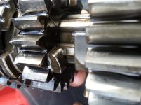 20150413_174456.jpg