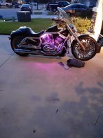 v-rod 1.jpg