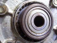 100_4699.jpg