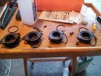 o-rings.jpg