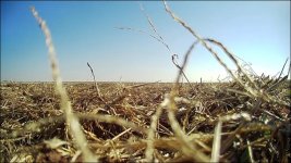 2021-03-04_09-22-25.jpg