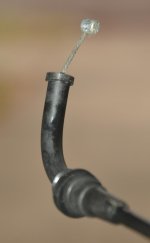 DSC_2889_s.jpg