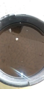 oil2.jpg