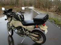 IMG_2447.jpg