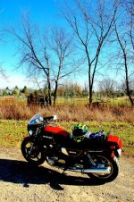 bike-12-3aa.jpg