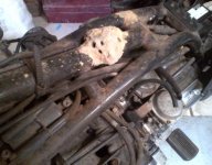 wasp nest.jpg