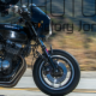Leo310