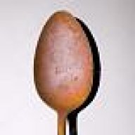 rustyspoon