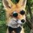 FoxyBLankworthy