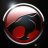 RedMongoose94